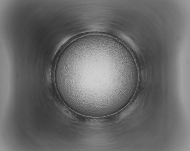 X0000110910875200906251355