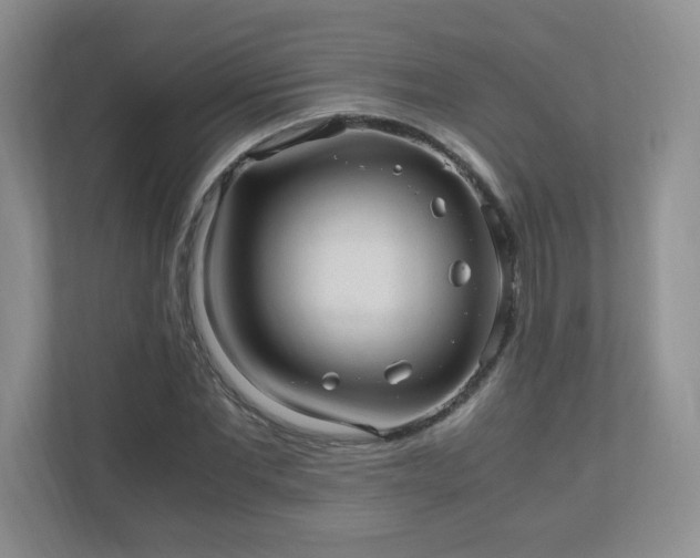 X0000110910877200906251355