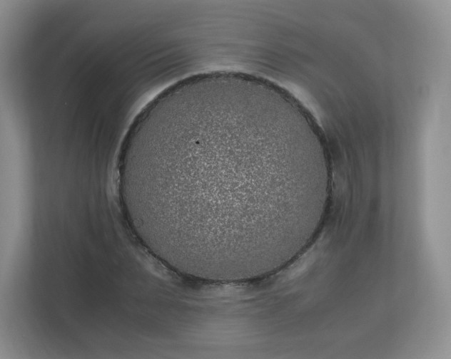 X0000110910879200906251355