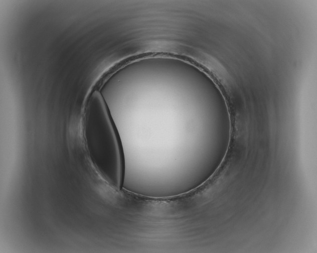 X0000110910880200906251355