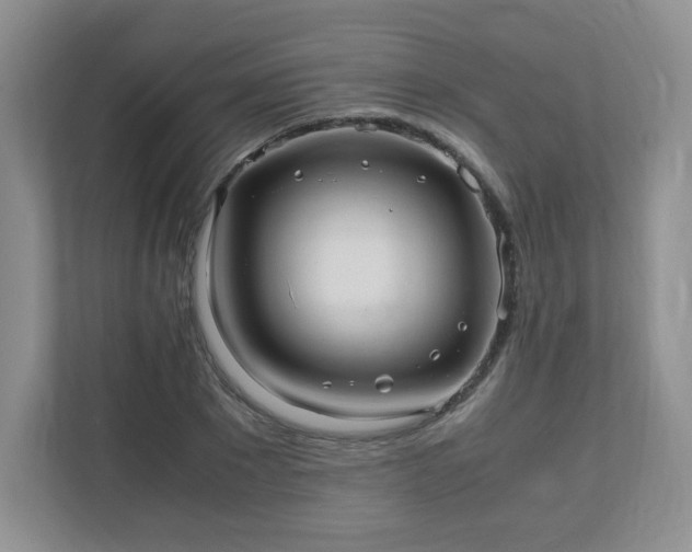 X0000110910881200906251355