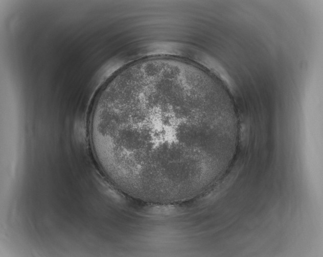 X0000110910882200906251355