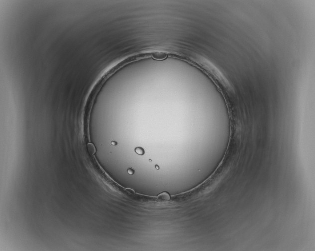 X0000110910884200906251355