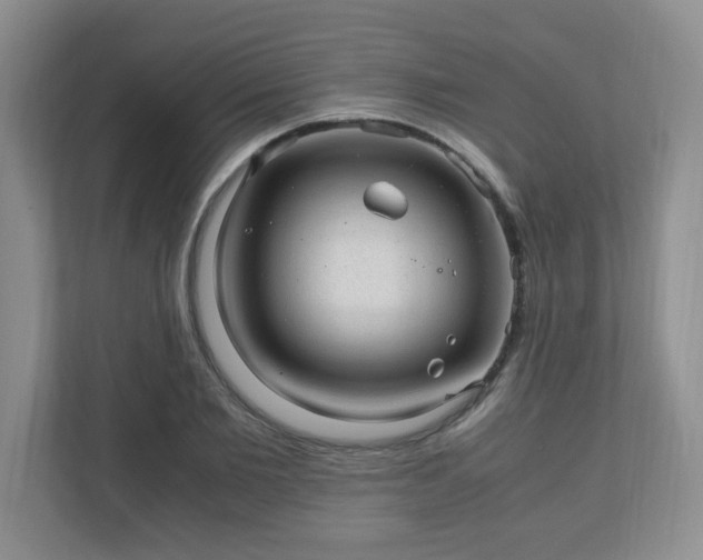 X0000110910885200906251355