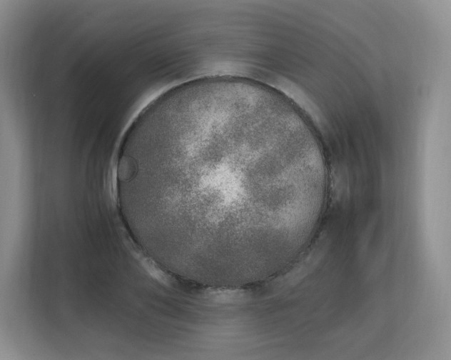 X0000110910886200906251355