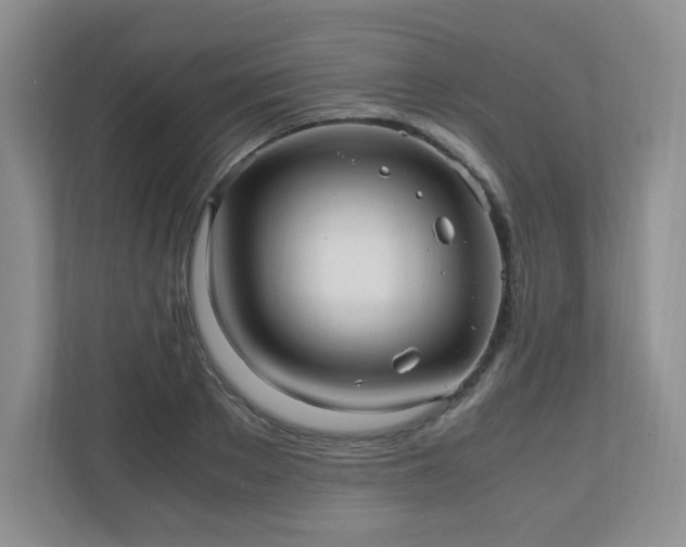 X0000110910889200906251355