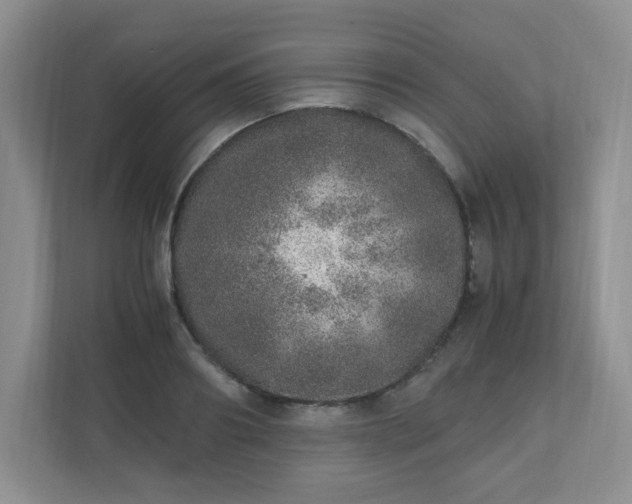 X0000110910890200906251355