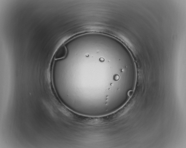 X0000110910891200906251355