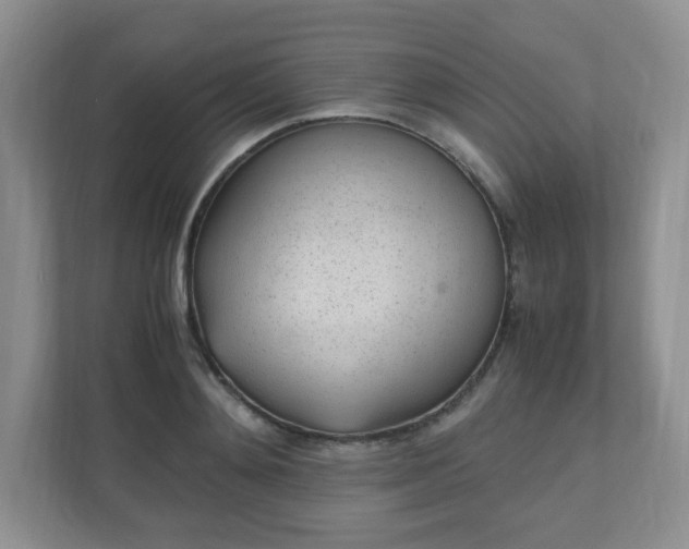 X0000110910892200906251355