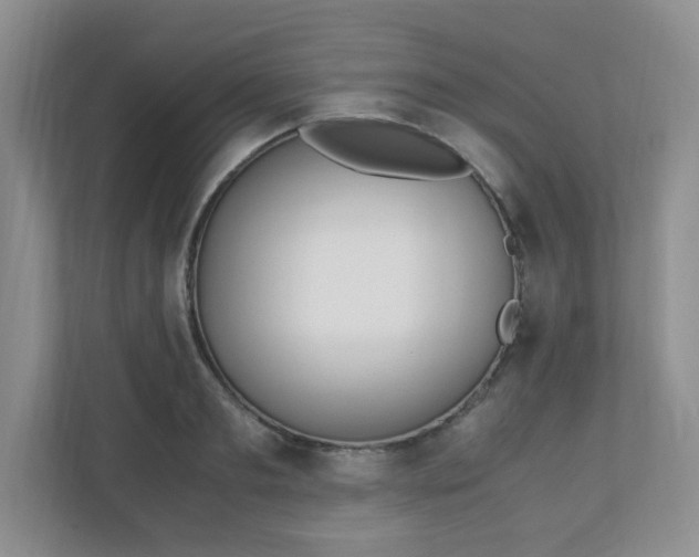 X0000110910893200906251355