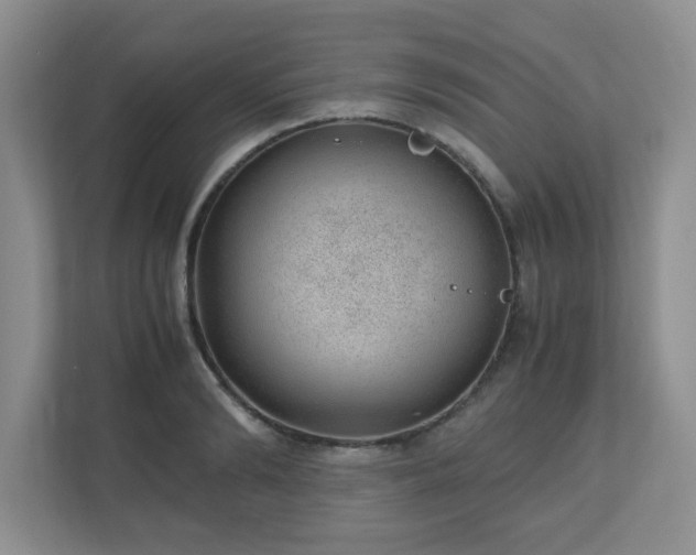 X0000110910894200906251355