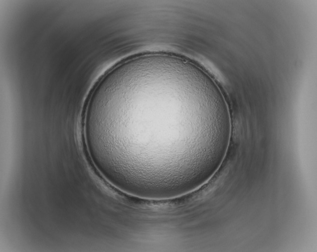 X0000110910895200906251355