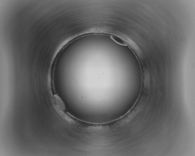 X0000110910896200906251355