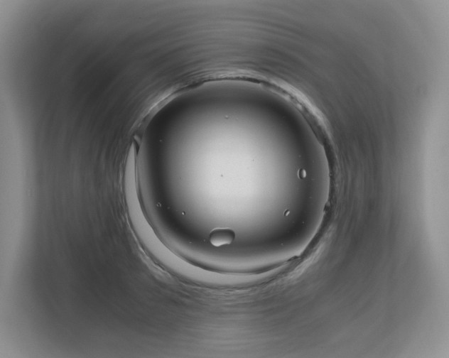 X0000110910897200906251355