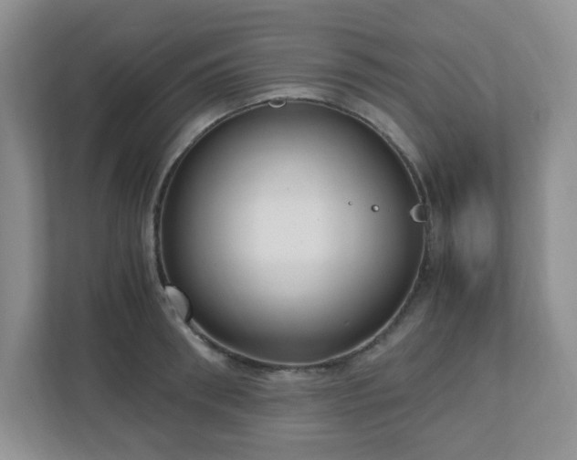 X0000110910898200906251355