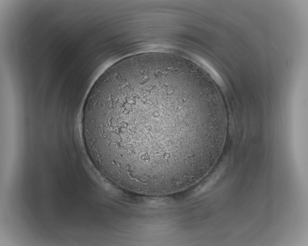 X0000110910899200906251355