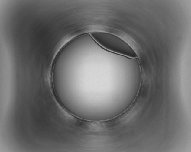 X0000110910901200906251355