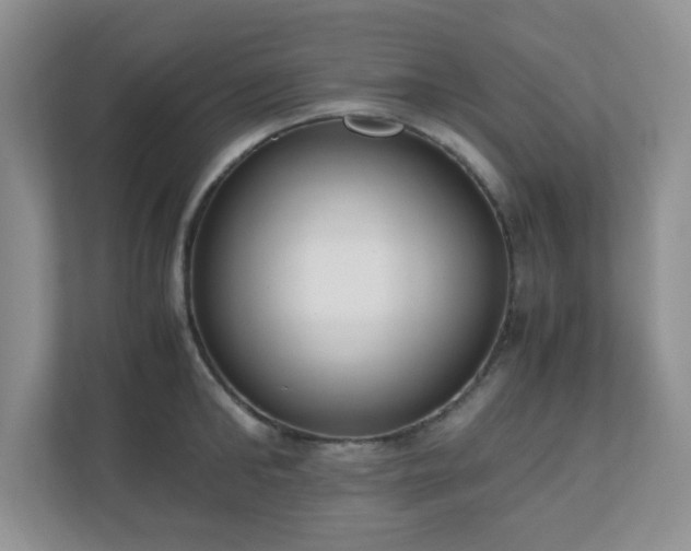 X0000110910902200906251355