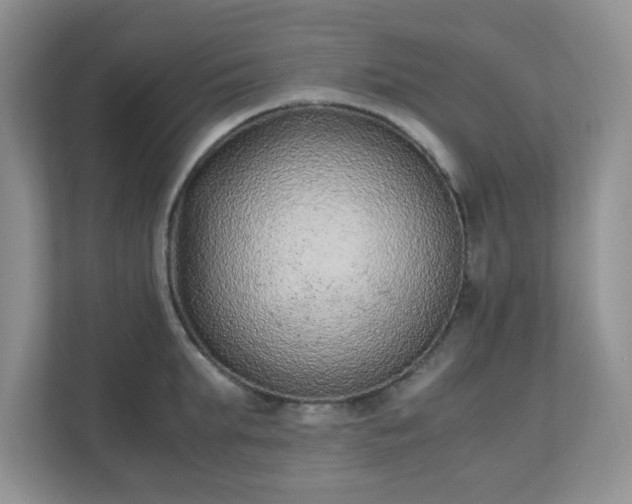 X0000110910903200906251355