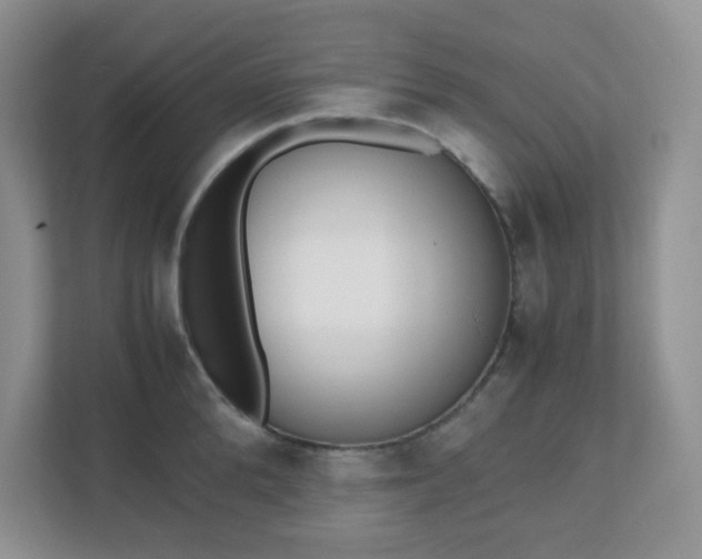 X0000110910904200906251355