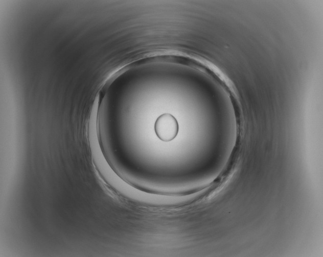 X0000110910905200906251355