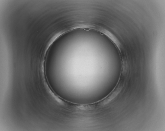 X0000110910906200906251355