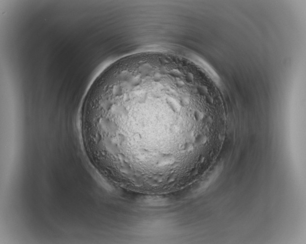 X0000110910907200906251355