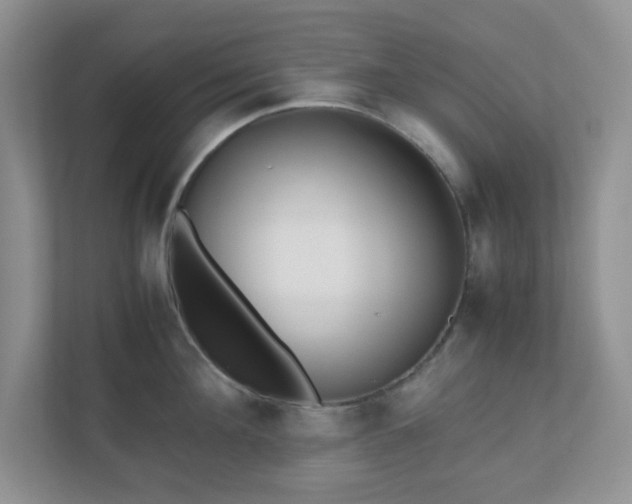 X0000110910908200906251355