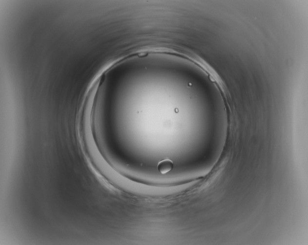 X0000110910909200906251355