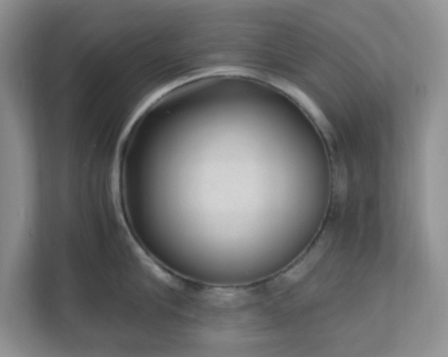 X0000110910910200906251355