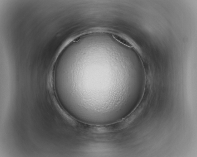 X0000110910911200906251355