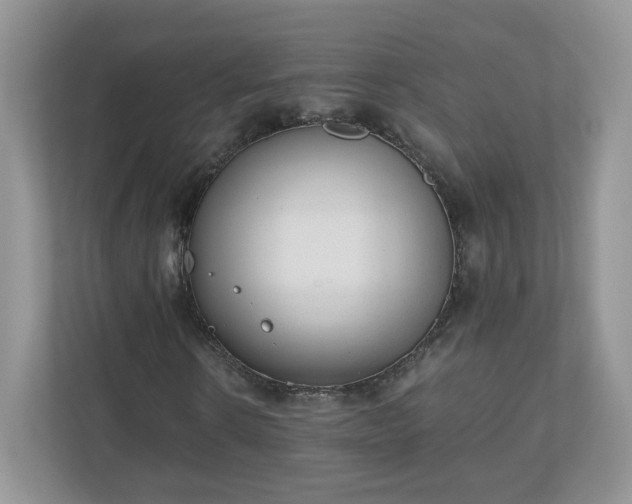 X0000110910914200906251354