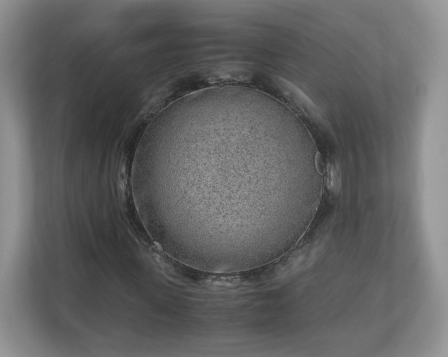 X0000110910915200906251354