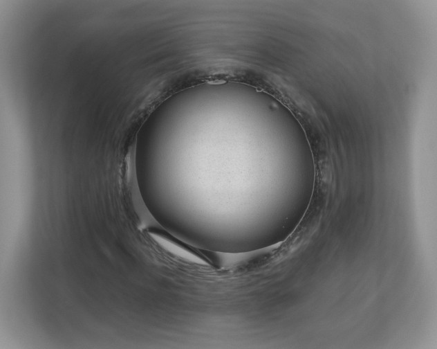 X0000110910916200906251354