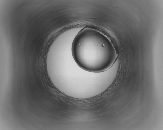 X0000110910920200906251354