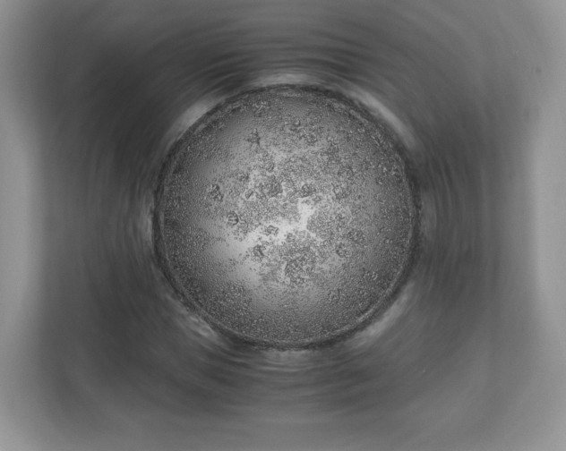 X0000110910921200906251354