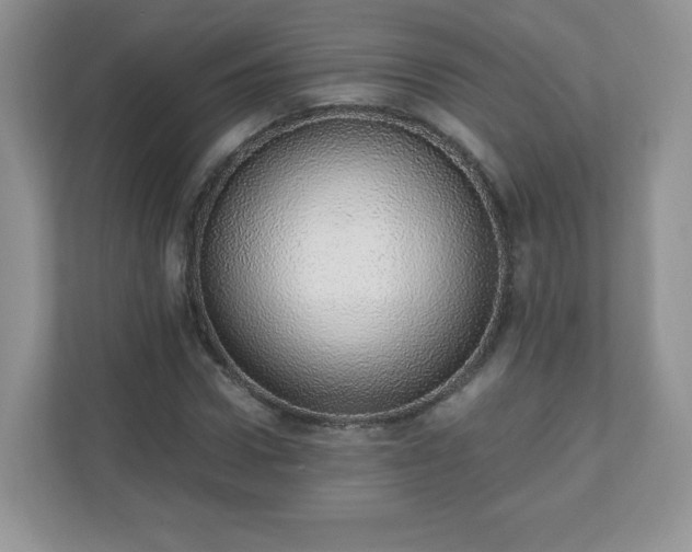 X0000110910922200906251354