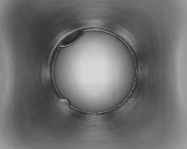 X0000110910924200906251354