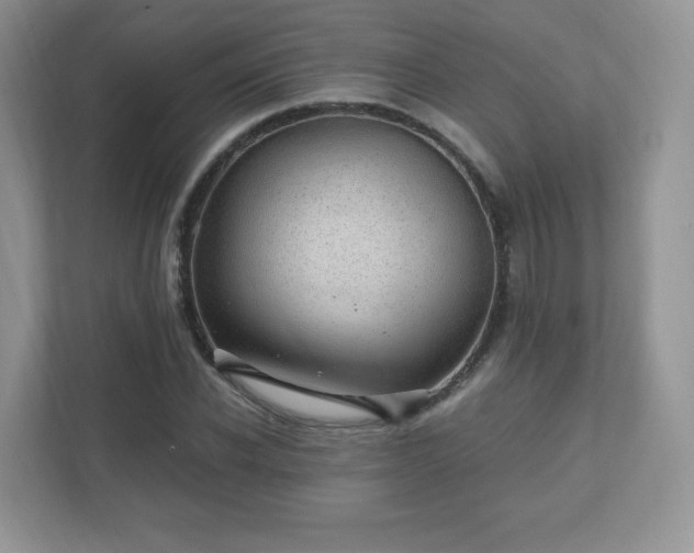 X0000110910926200906251354