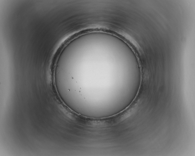 X0000110910927200906251354