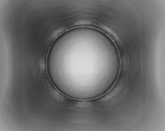 X0000110910929200906251354