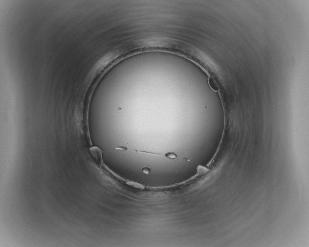 X0000110910930200906251354