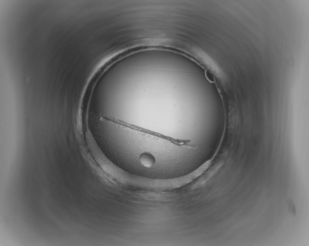 X0000110910932200906251354