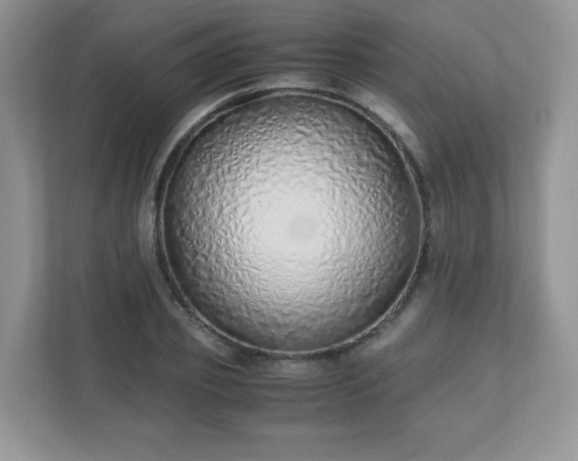 X0000110910933200906251354