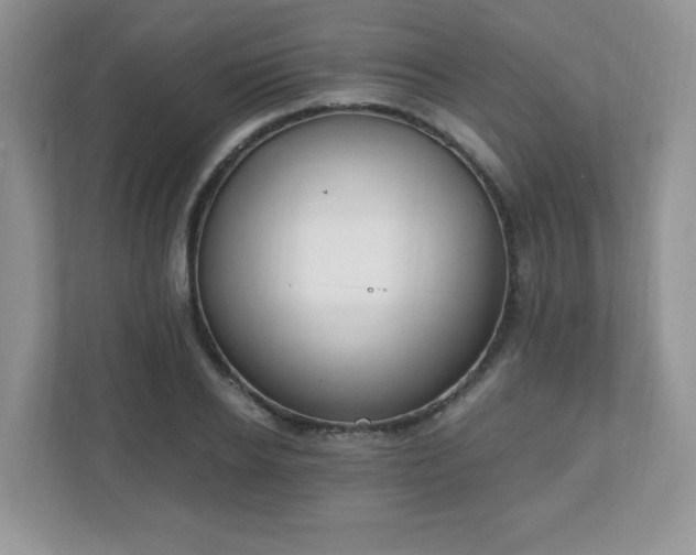 X0000110910934200906251355