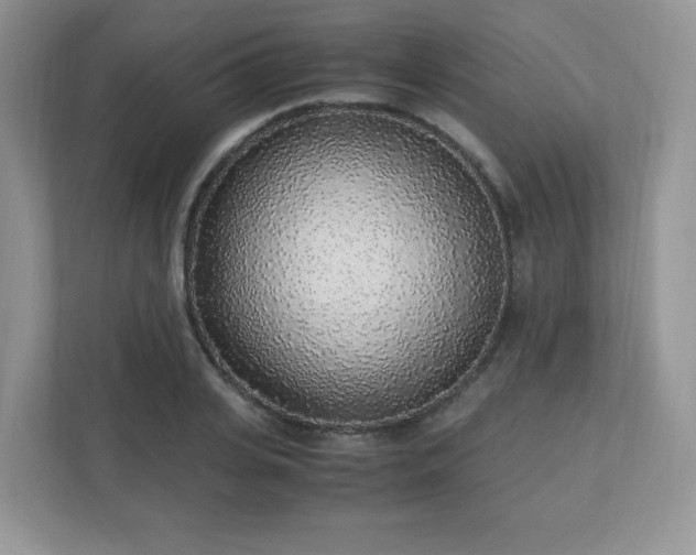 X0000110910935200906251355