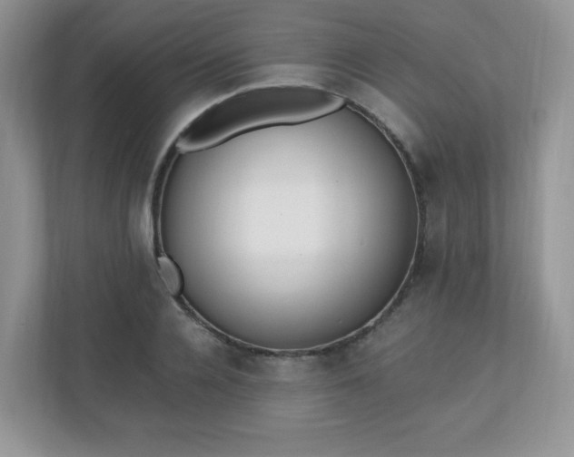 X0000110910936200906251355