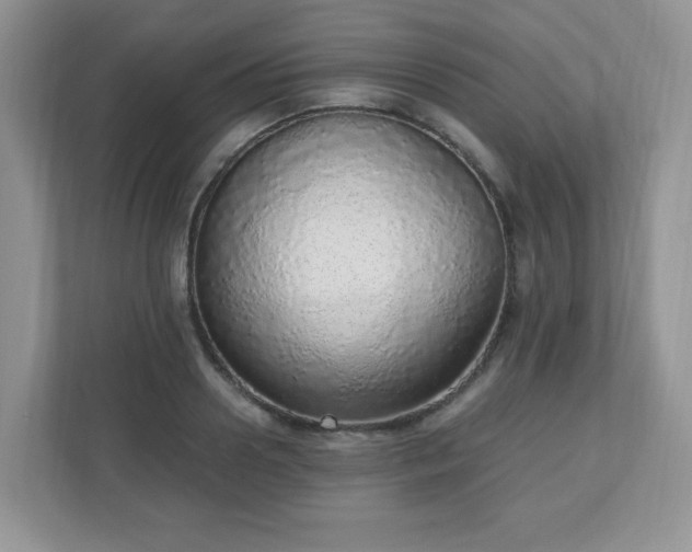 X0000110910938200906251355