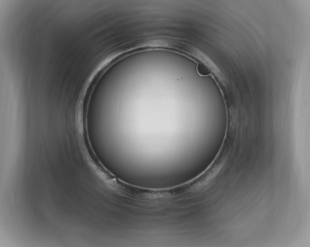 X0000110910939200906251355