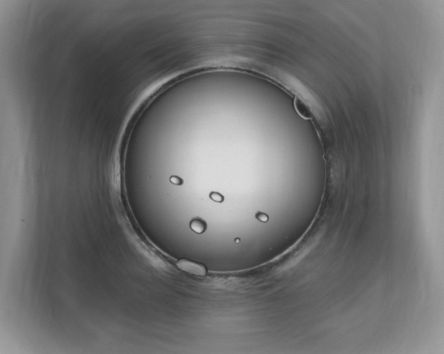 X0000110910940200906251355